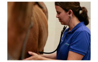 Colic