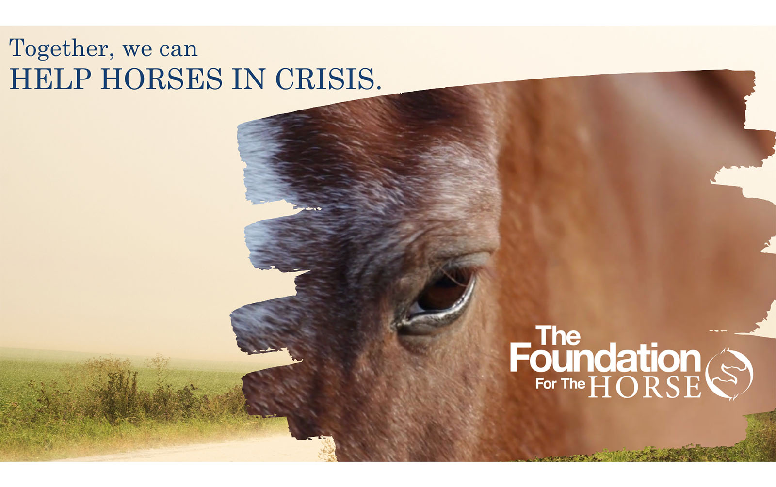 Horse Help