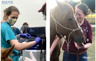 EQUUS Research