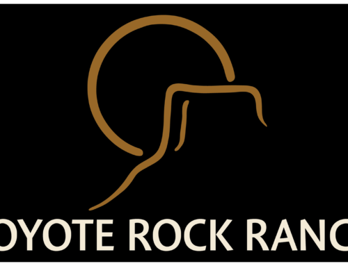 The Foundation for the Horse Opens Application for $75,000 Coyote Rock Ranch Scholarships