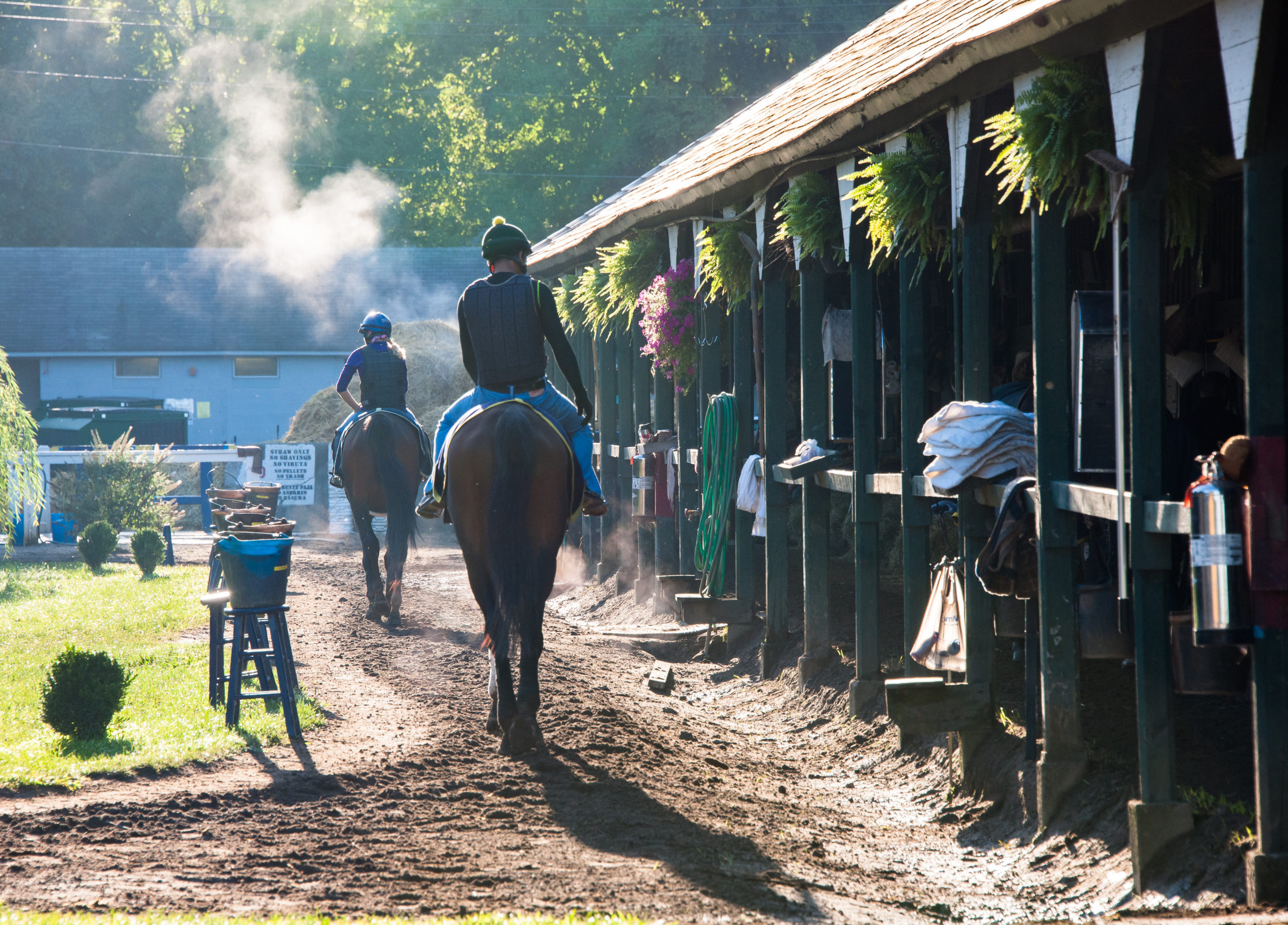 Saratoga Shedrow_NWhite