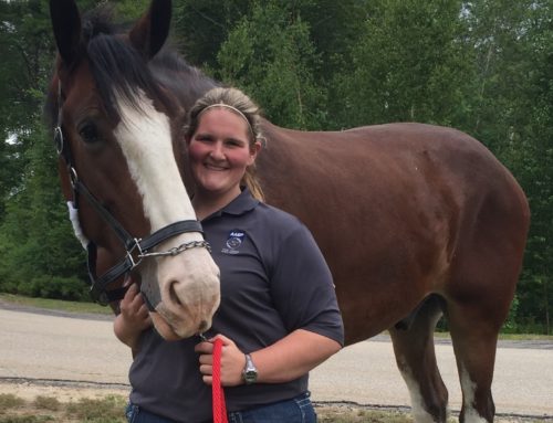 University of Minnesota Ph.D. Candidate is First Recipient  of The Foundation for The Horse Research Fellow