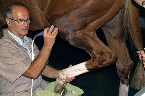 Jean-Marie Denoix, DVM, Ph.D., Assoc. LA-ECVDI, DECVSMR (Equine), DACVSMR (Equine)