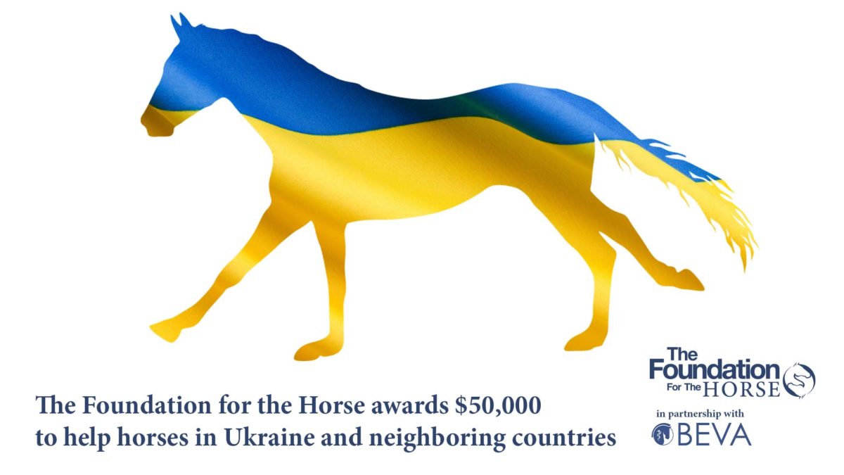 The Foundation for the Horse Partners with British Equine Veterinary Association on Ukraine
