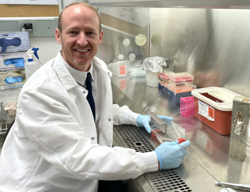 Six Impactful Equine Research Projects Supported by The Foundation for the Horse