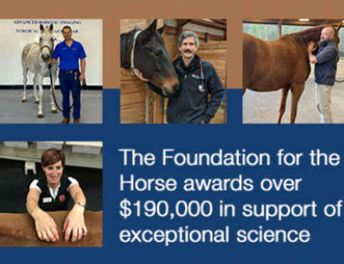 The Foundation for the Horse Awards Over $190,000  in Support of Exceptional Science by Accomplished Researchers