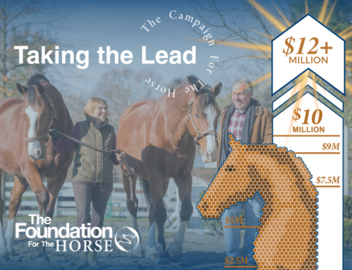 The Foundation for the Horse Campaign  Culminates with Over $12 Million in Support