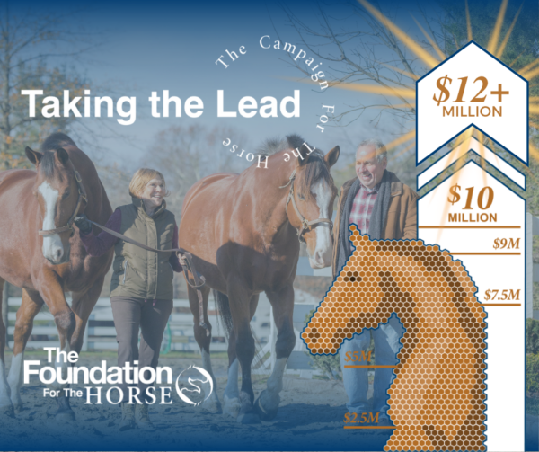 The Foundation for the Horse Campaign Culminates with Over 12 Million