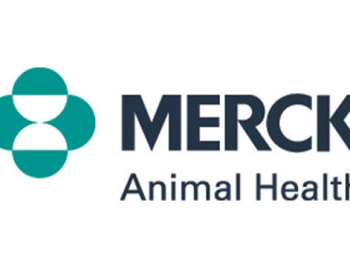 Merck Animal Health Renews Scholarship Support for   Equine Veterinary Students Through The Foundation for the Horse