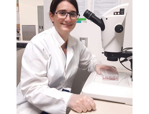 Applications Now Being Accepted for Young Investigators & Innovation Research Grants through The Foundation for the Horse