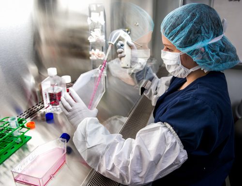 Applications for the Young Investigators Grants Open until June 30, 2024
