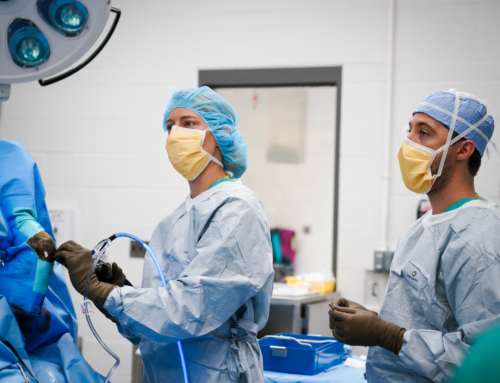 The Foundation for The Horse Breaks Record for Equine Research Grant Awards