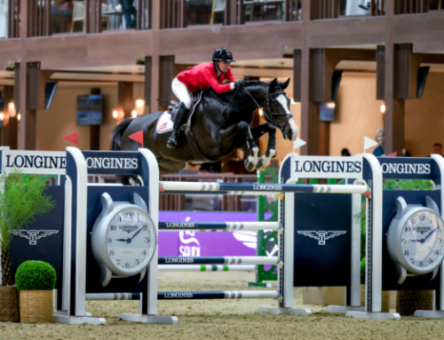 Education and Research Fund Established in Memory of Chromatic BF through The Foundation for the Horse