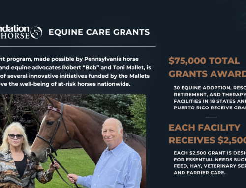 Inaugural Equine Care Grants, Longstanding Vaccine Program Support Domestic At-Risk Horses