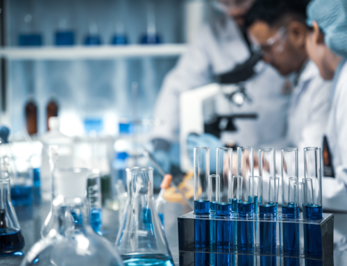 The Foundation for the Horse Awards Over $500,000 in Equine Research Grants