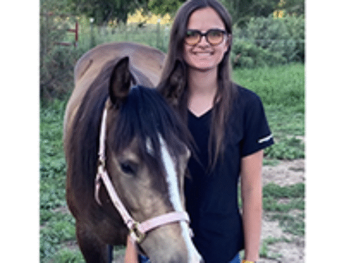 Colorado State University Student to Receive Dr. Tom Riddle Theriogenology Scholarship