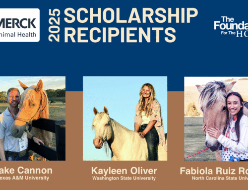 Three Equine Veterinary Students Earn $10,000 Merck Animal Health Scholarships Granted by The Foundation for the Horse 