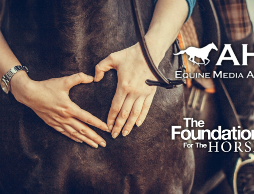 The Foundation for the Horse Video Wins First Place Award from American Horse Publications