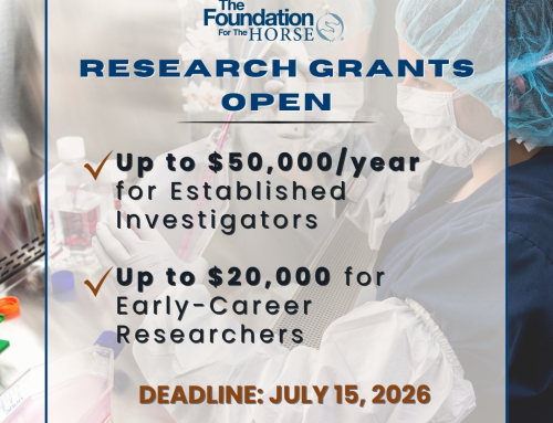 The Foundation for the Horse Opens 2026 Research Grant Applications to Advance Equine Health and Welfare