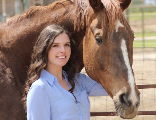 Royal Veterinary College Student Wins 2026 Dr. Bill Rood Leadership Scholarship from The Foundation for the Horse
