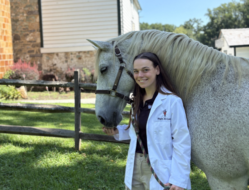 Penn Vet Student Megan McCarthy Awarded 2026 Dr. William H. Sweeney Memorial Scholarship